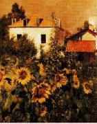 Gustave Caillebotte Sunflowers, Garden at Petit Gennevilliers painting